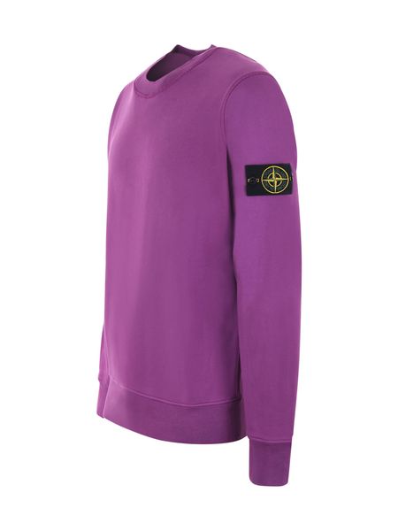 Світшот Stone Island Logo Patch Crewneck Sweatshirt 101563051 V0045 101563051-V0045 фото